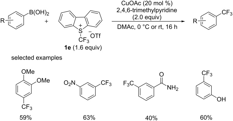 Scheme 18