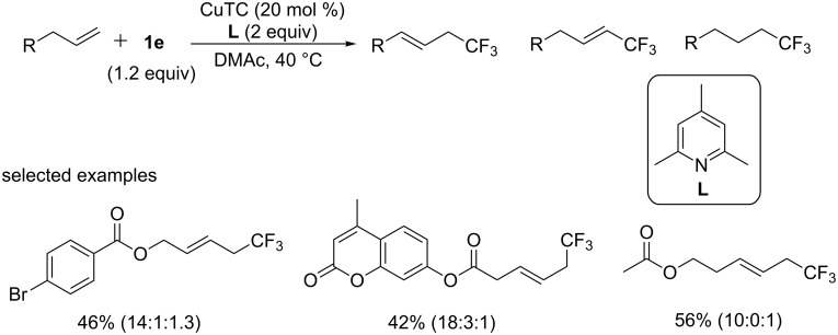 Scheme 29