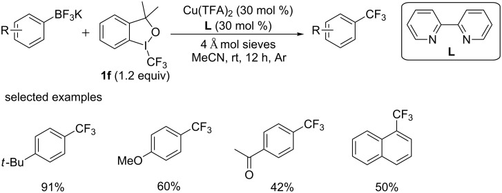 Scheme 19