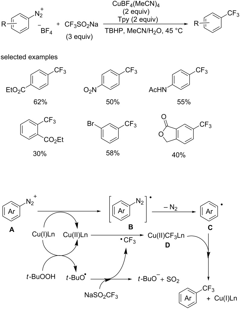 Scheme 28