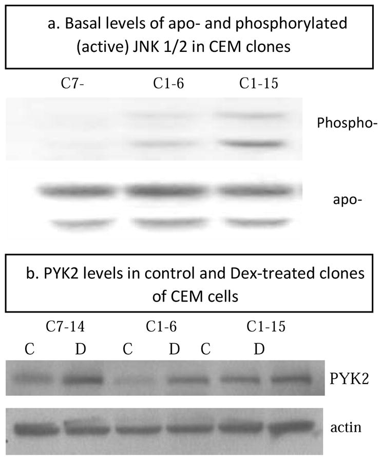 Fig 5