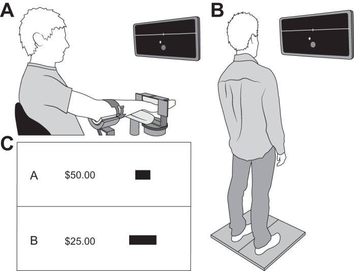 Fig. 1.