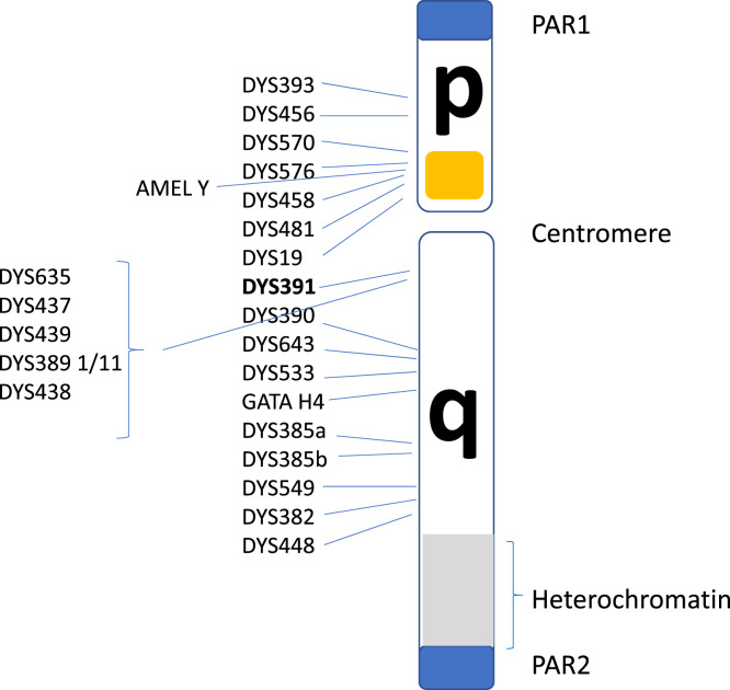 Figure 2.