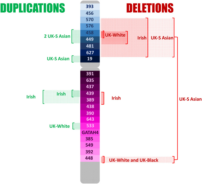 Figure 3.