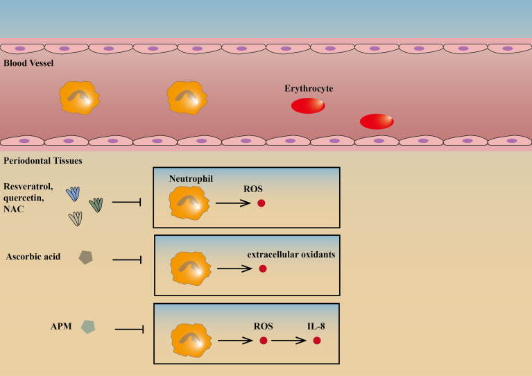 Figure 2