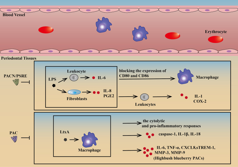 Figure 3