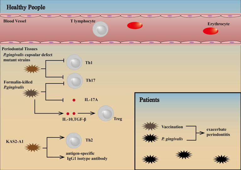 Figure 5