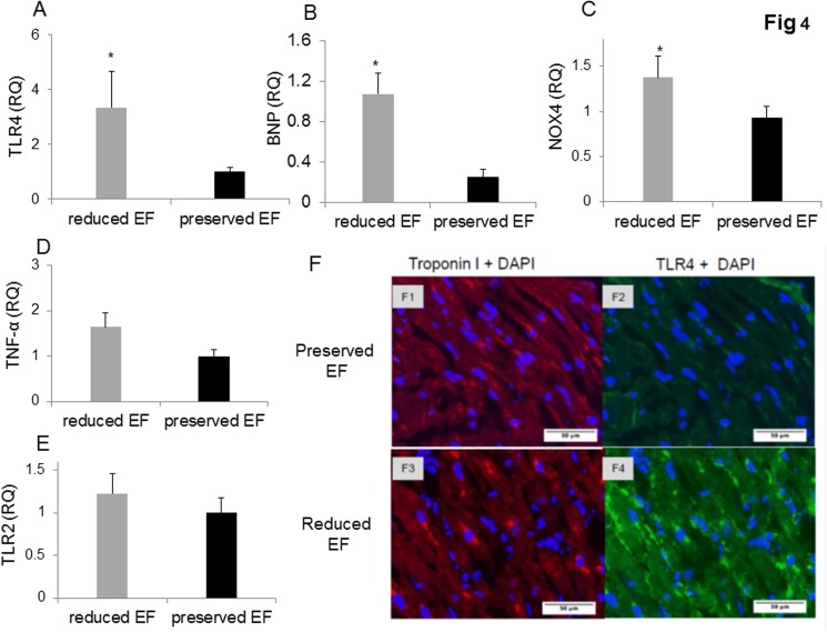 Fig 4