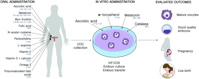 FIG. 6.