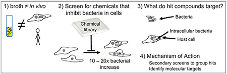 graphic file with name nihms-1569385-f0004.jpg