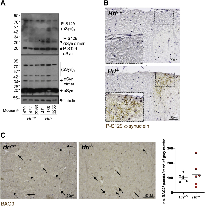 Figure 6