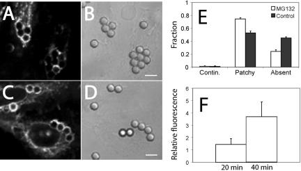 Figure 9.