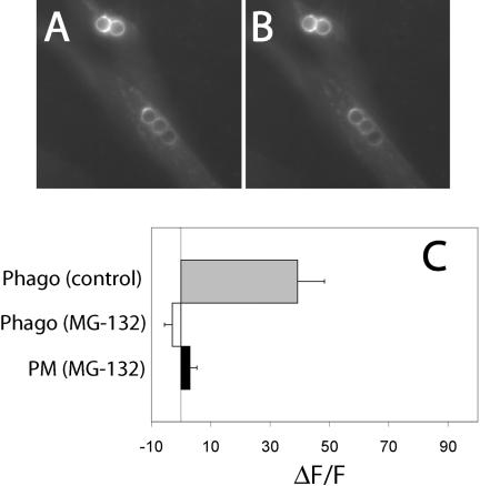 Figure 10.