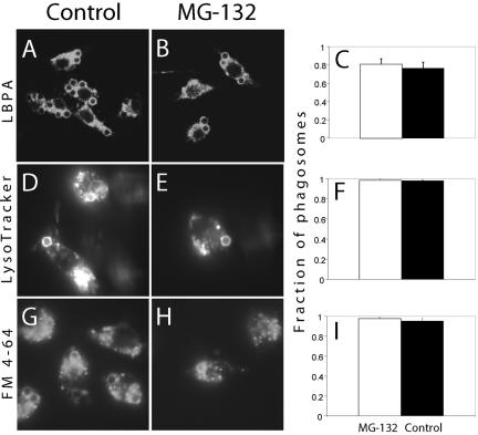 Figure 12.