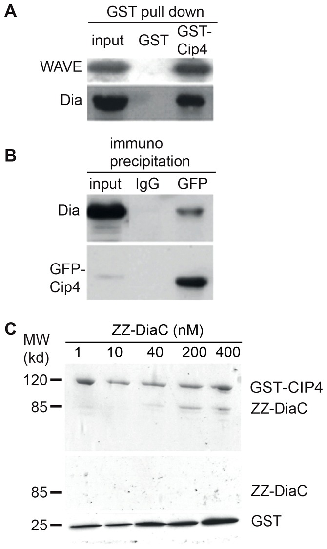 Fig. 3.