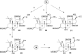 Scheme 5