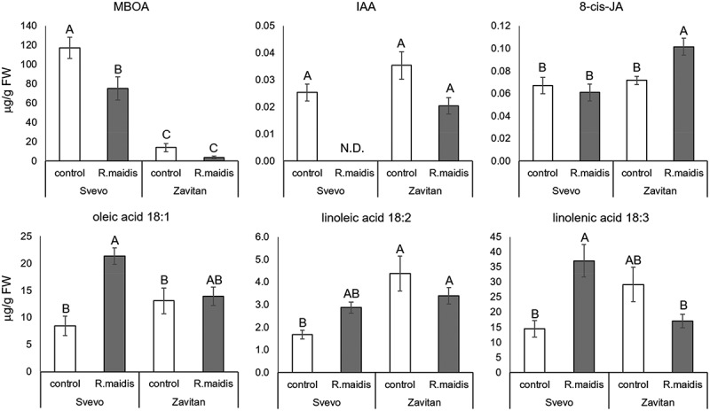 Figure 3.