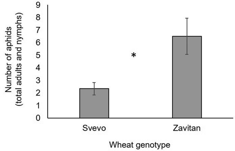 Figure 2.