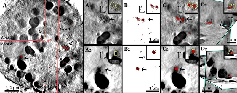 Figure 7: