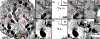 Figure 7: