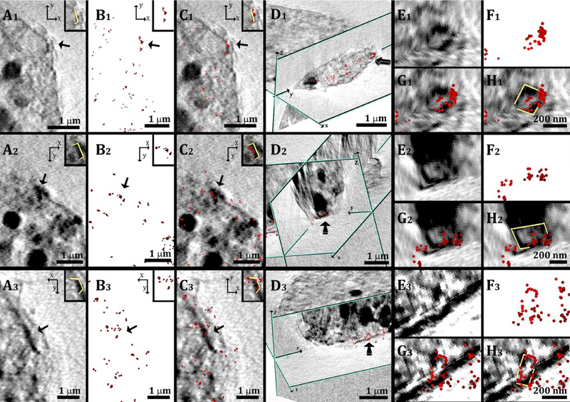 Figure 6: