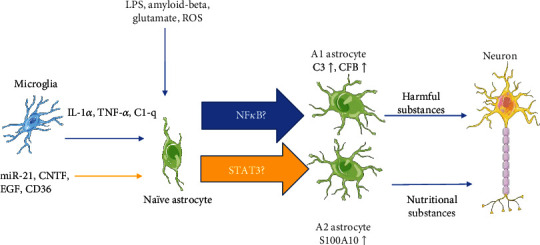 Figure 2