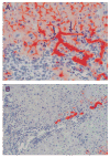 Fig. 9