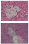 Fig. 6
