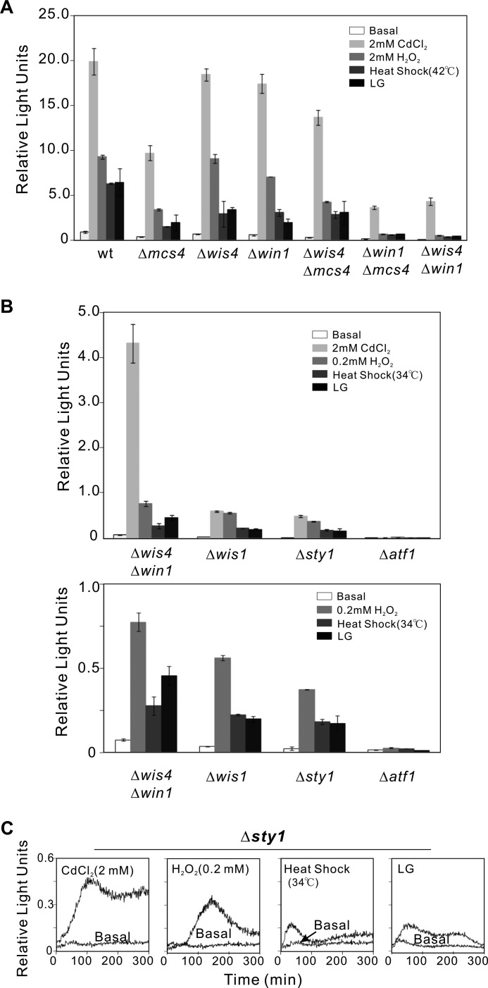 FIGURE 2.