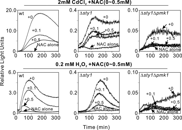 FIGURE 4.