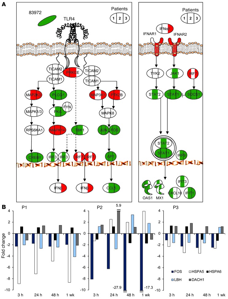 Figure 6