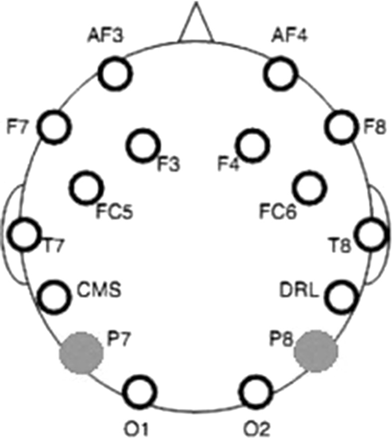 Fig. 3