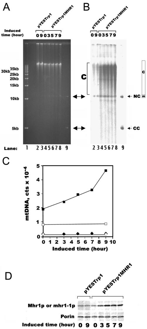 Figure 3.