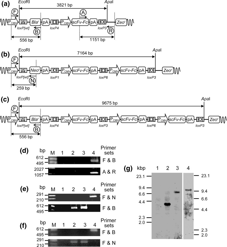 Fig. 3
