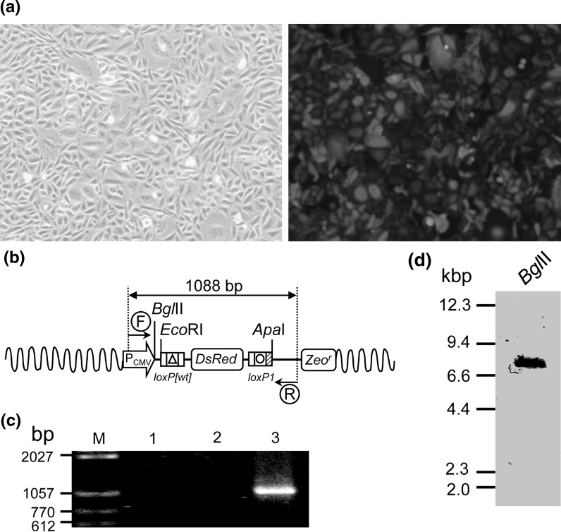 Fig. 2