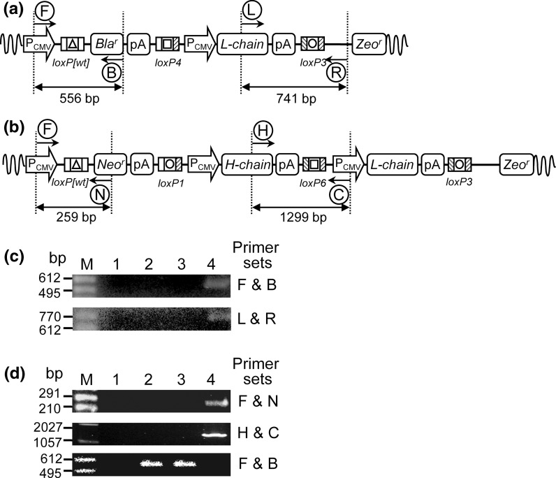 Fig. 4