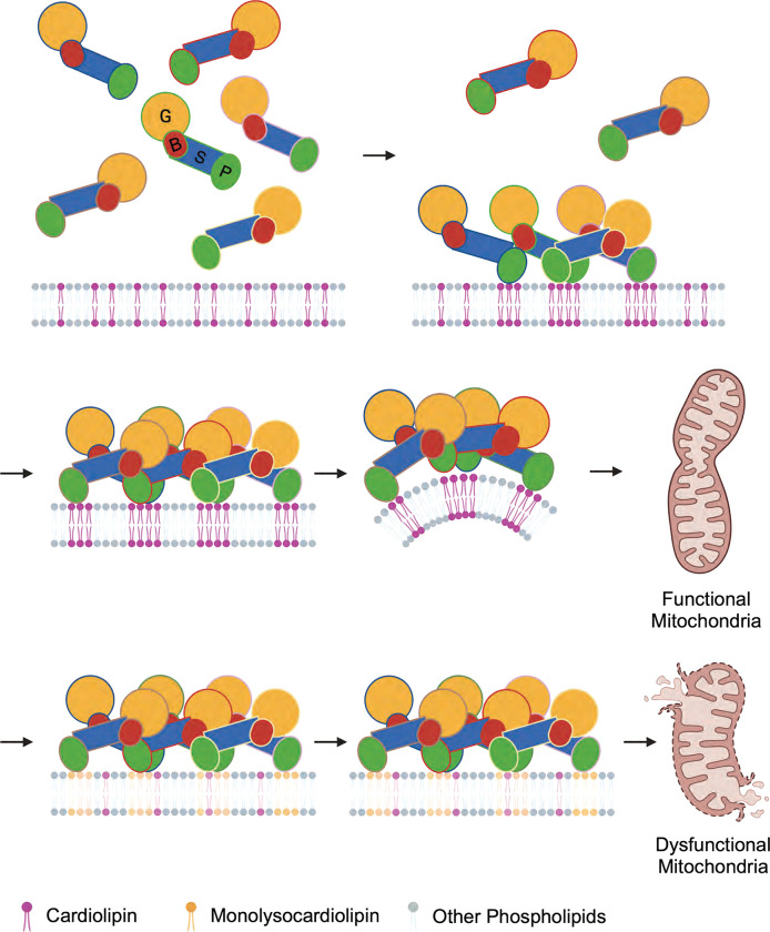 Figure 5.