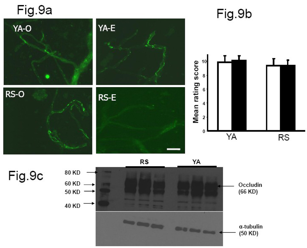 Fig.9