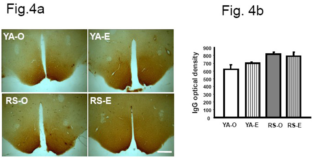 Fig.4