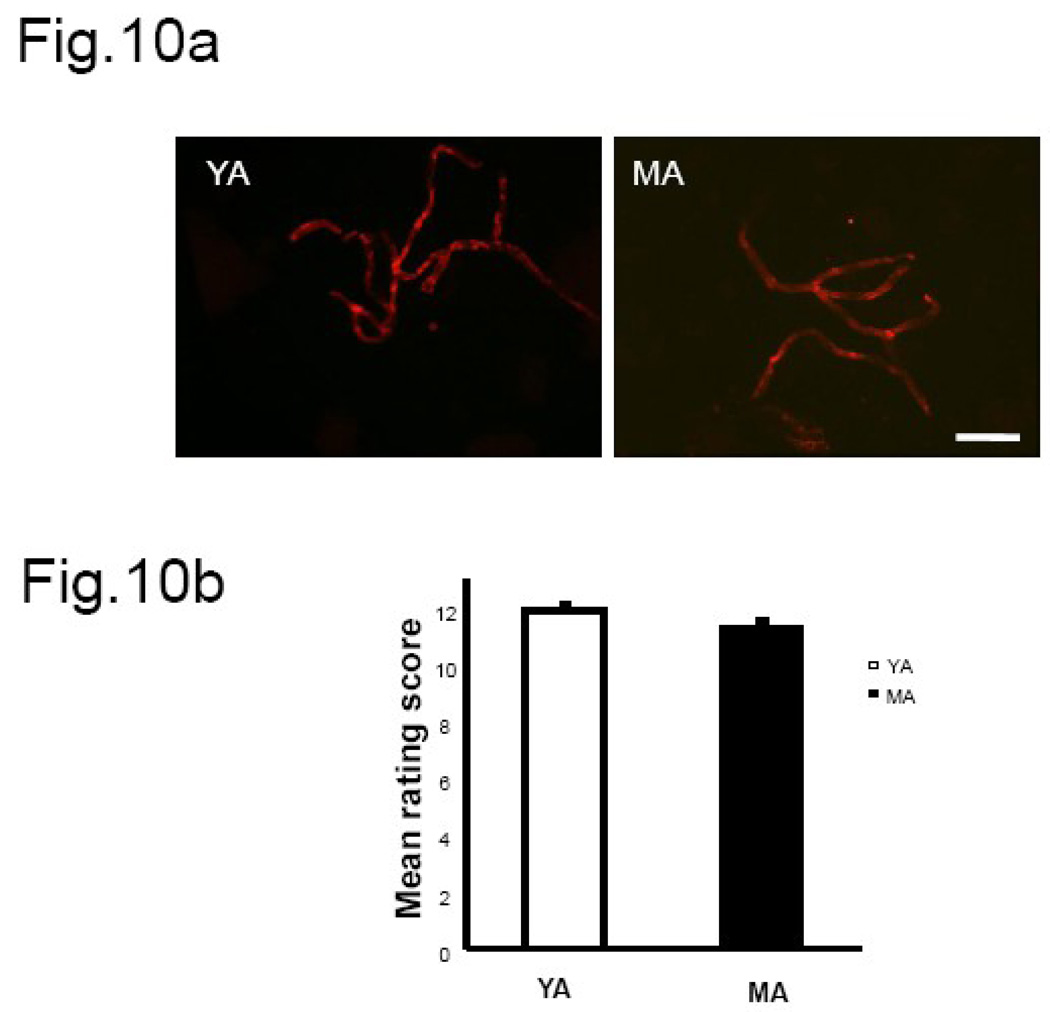 Fig.10