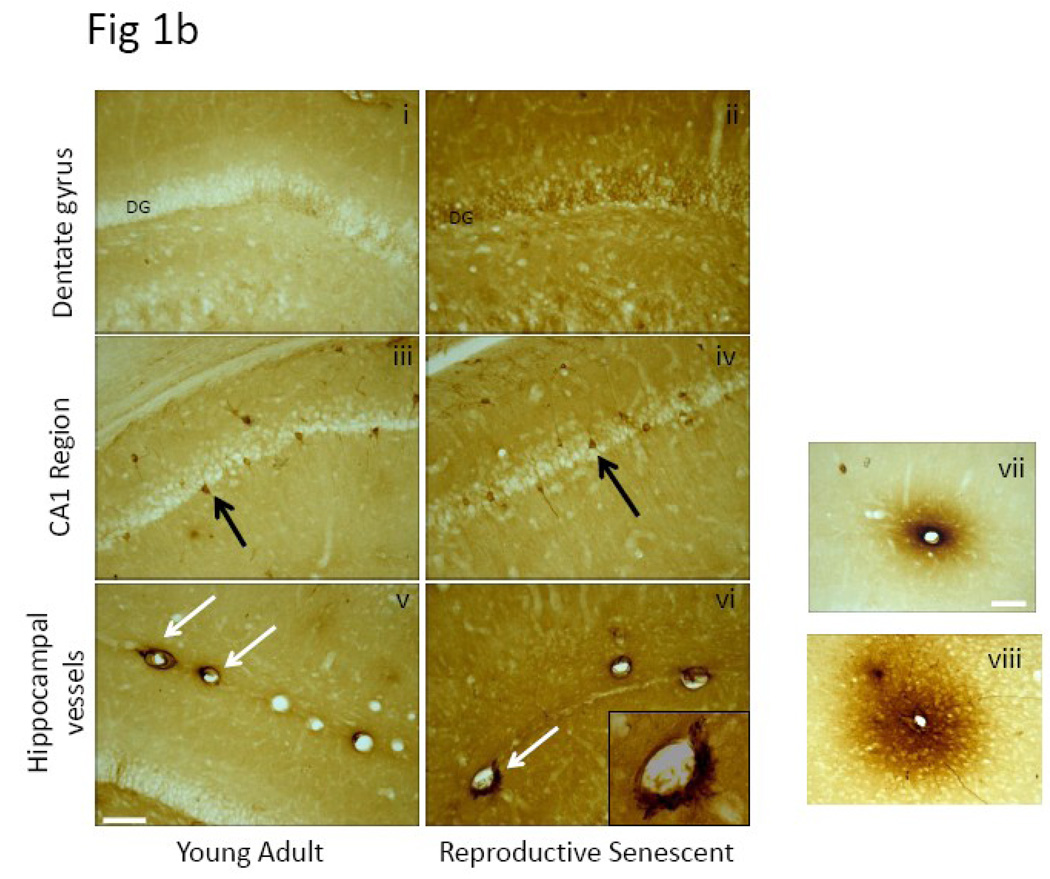 Fig.1