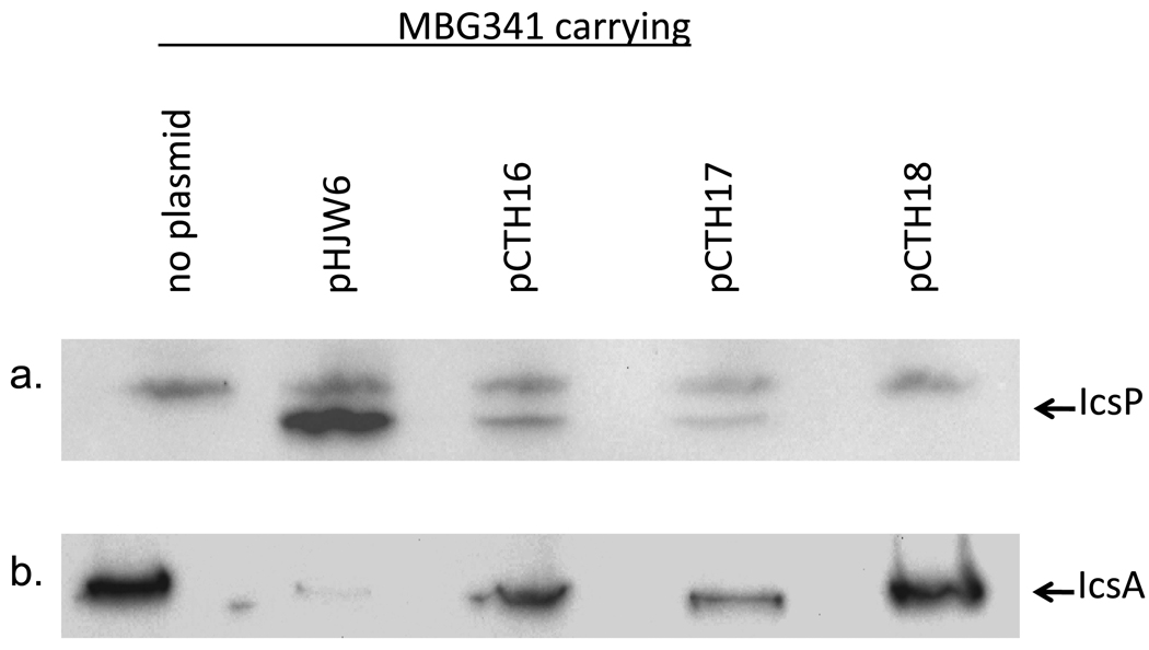 Fig. 5