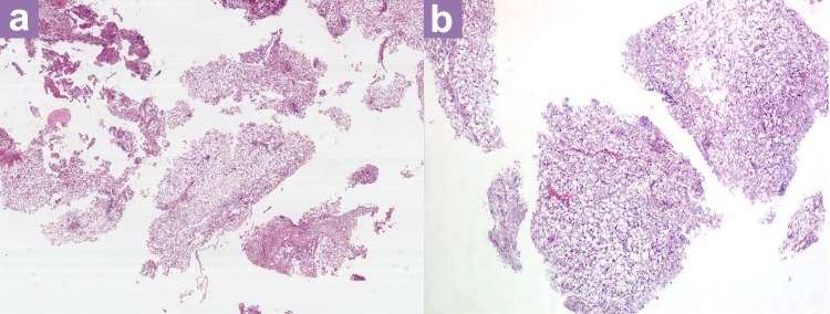 Figure 3: