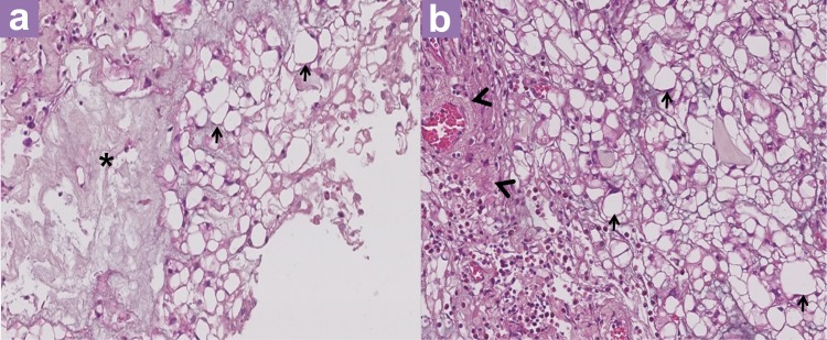 Figure 4: