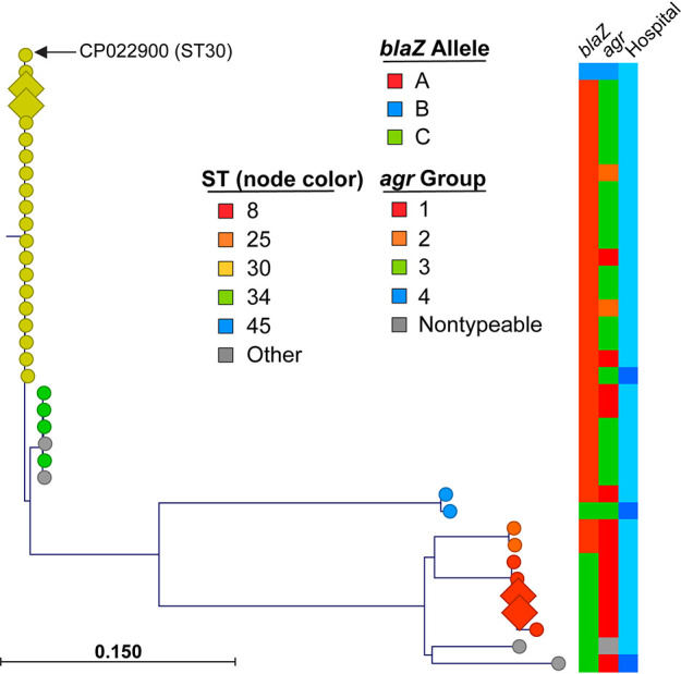 FIG 4