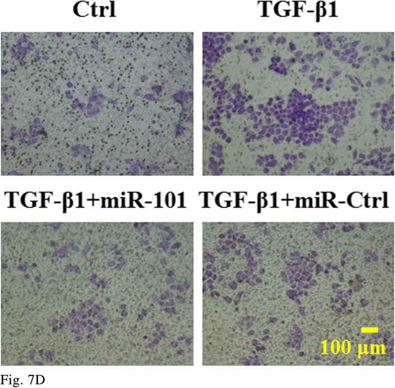 graphic file with name 12943_2021_1344_Fig4_HTML.jpg