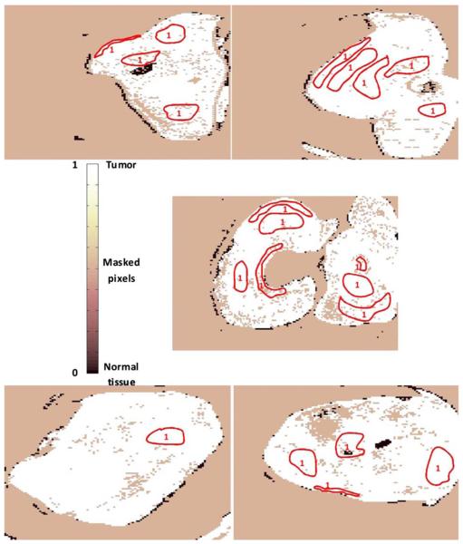 Fig. 8