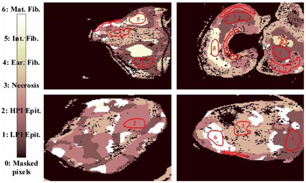 Fig. 15