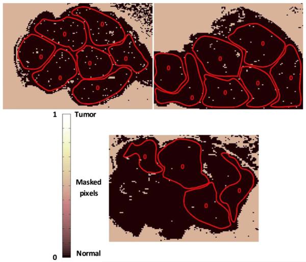 Fig. 7