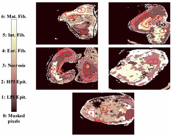 Fig. 11